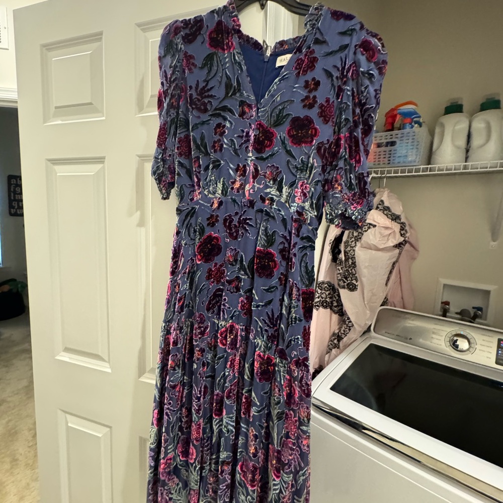 Hale Bob Blue and Purple Floral Velvet Dress